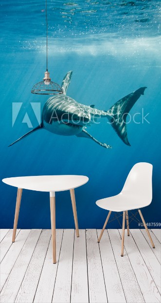 Picture of Great white shark with its main four fings swimming under sun rays in the blue Pacific Ocean  at Guadalupe Island in Mexico